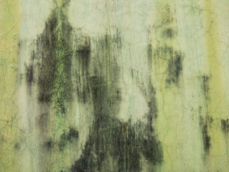 7 Ways to Prevent Mold in Your Rental Property
